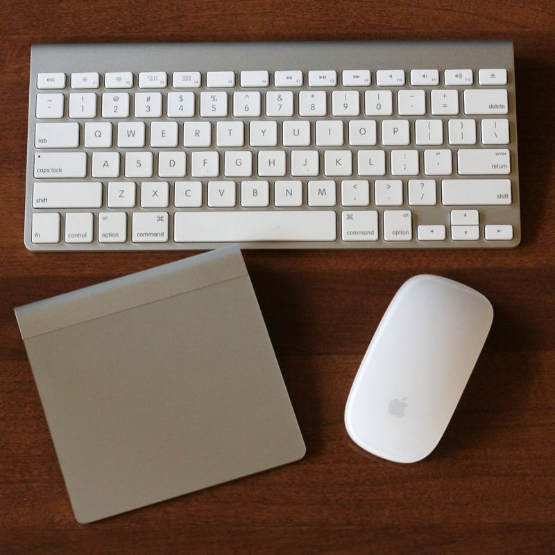 Input Devices