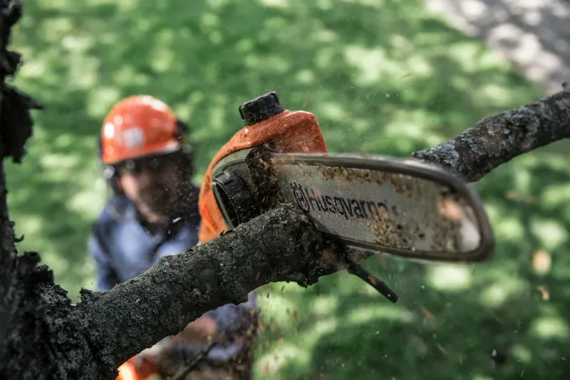 Husqvarna Pole Saws