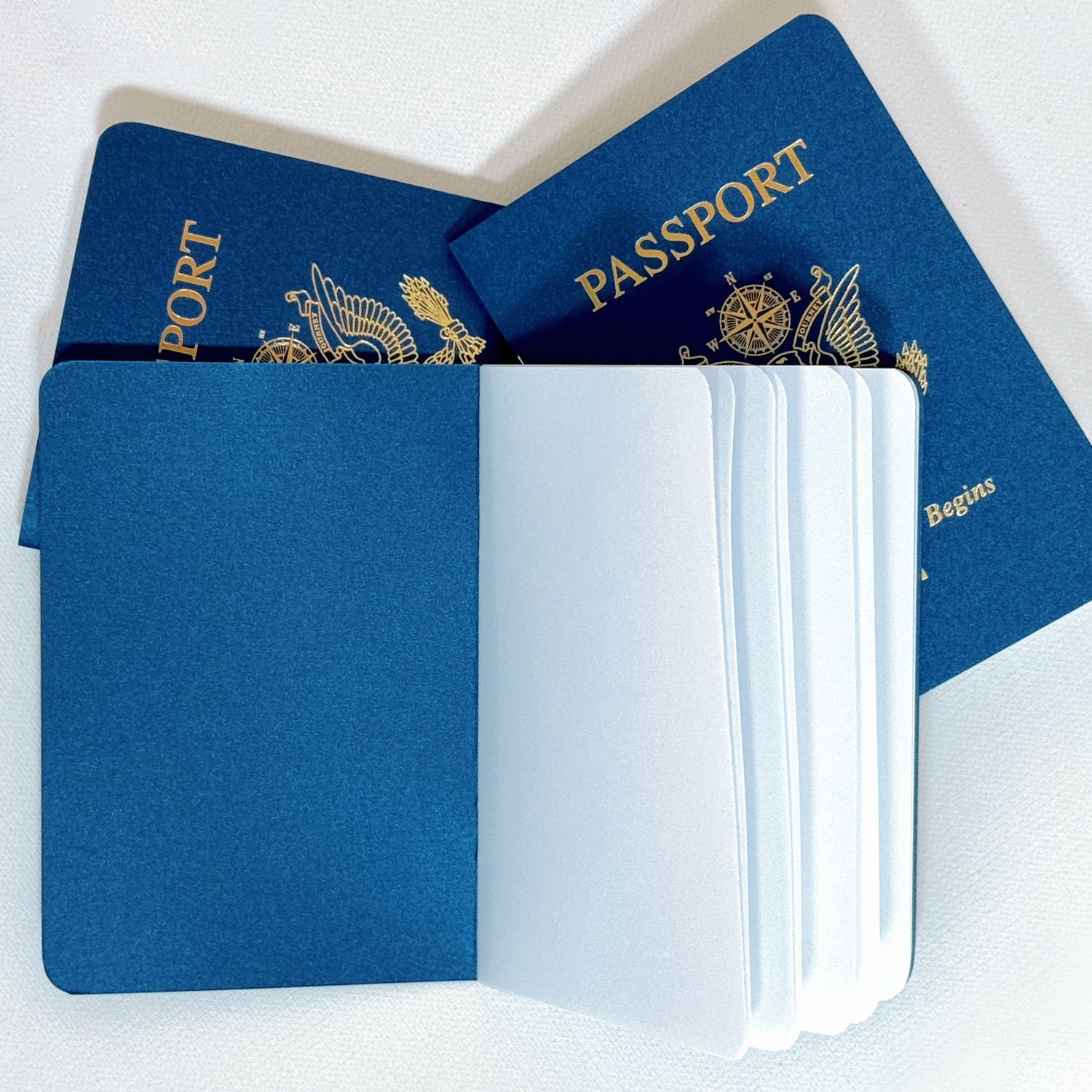 Passport book shown open to first page so you can see that the inside front and back covers are the same color as the outside covers, and the remaining blank inside pages.