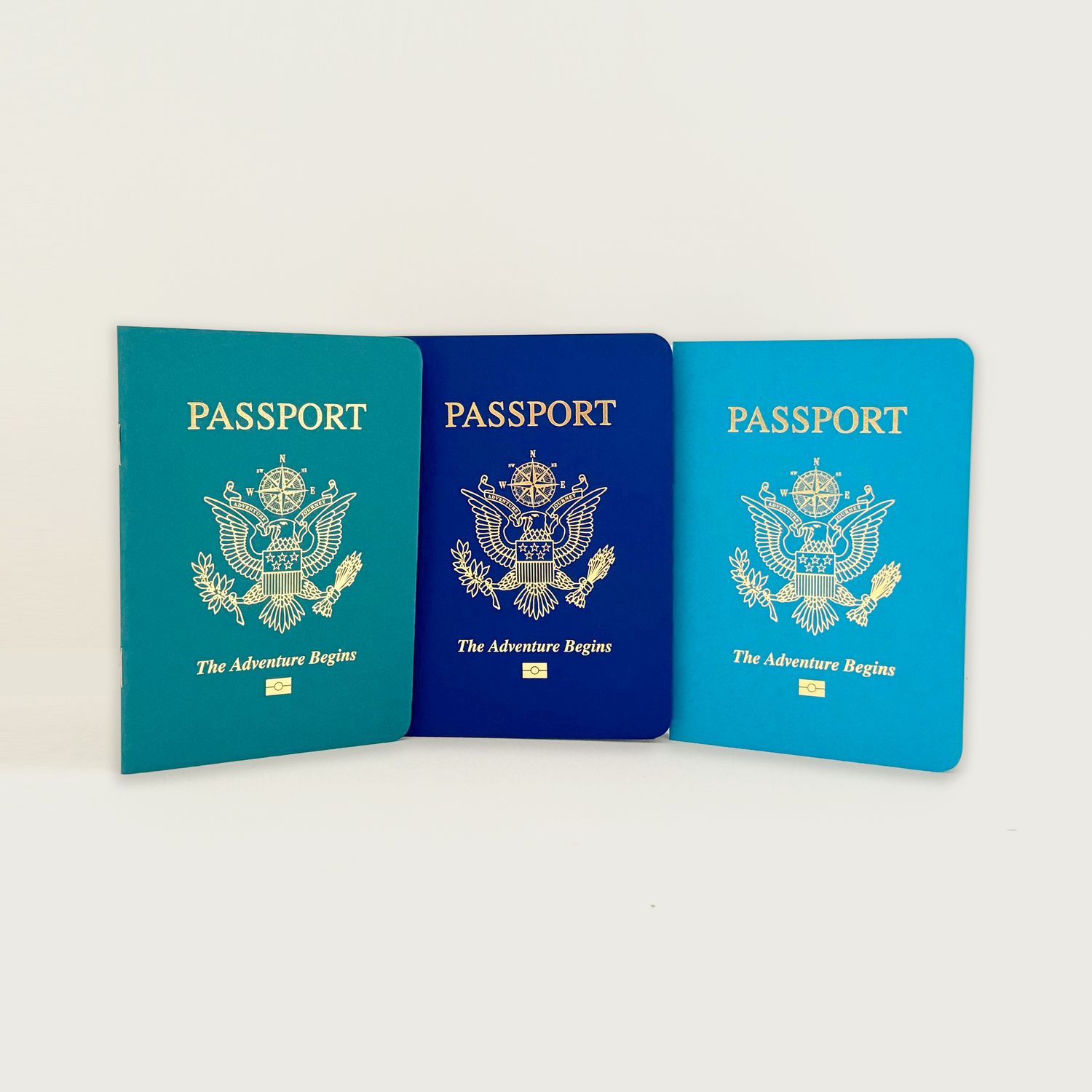 Combo Pack – OCEAN BLUES Passport Books (Pack of 10)