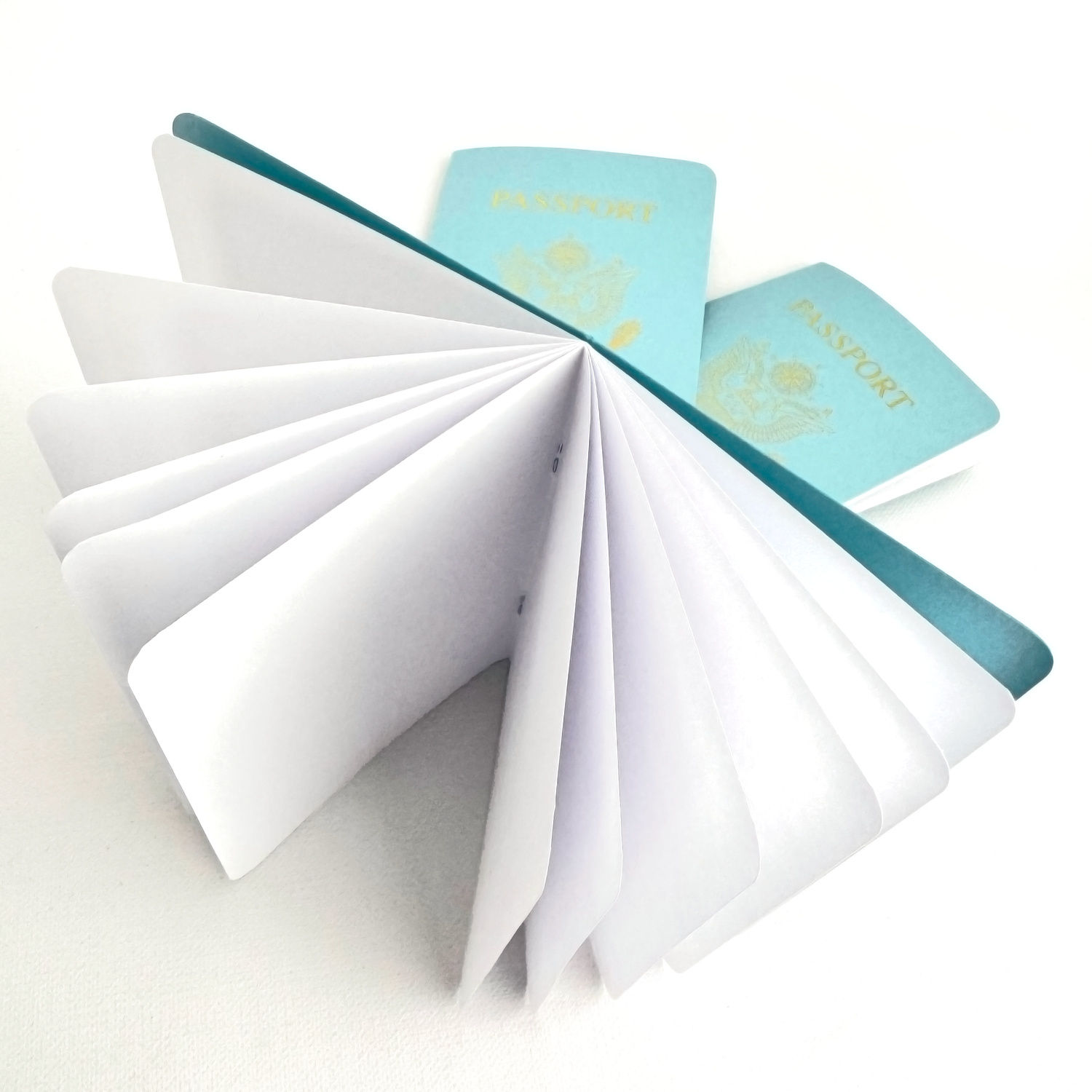 OCEAN / LIGHT TURQUOISE Shimmer Passport Books (Pack of 10)