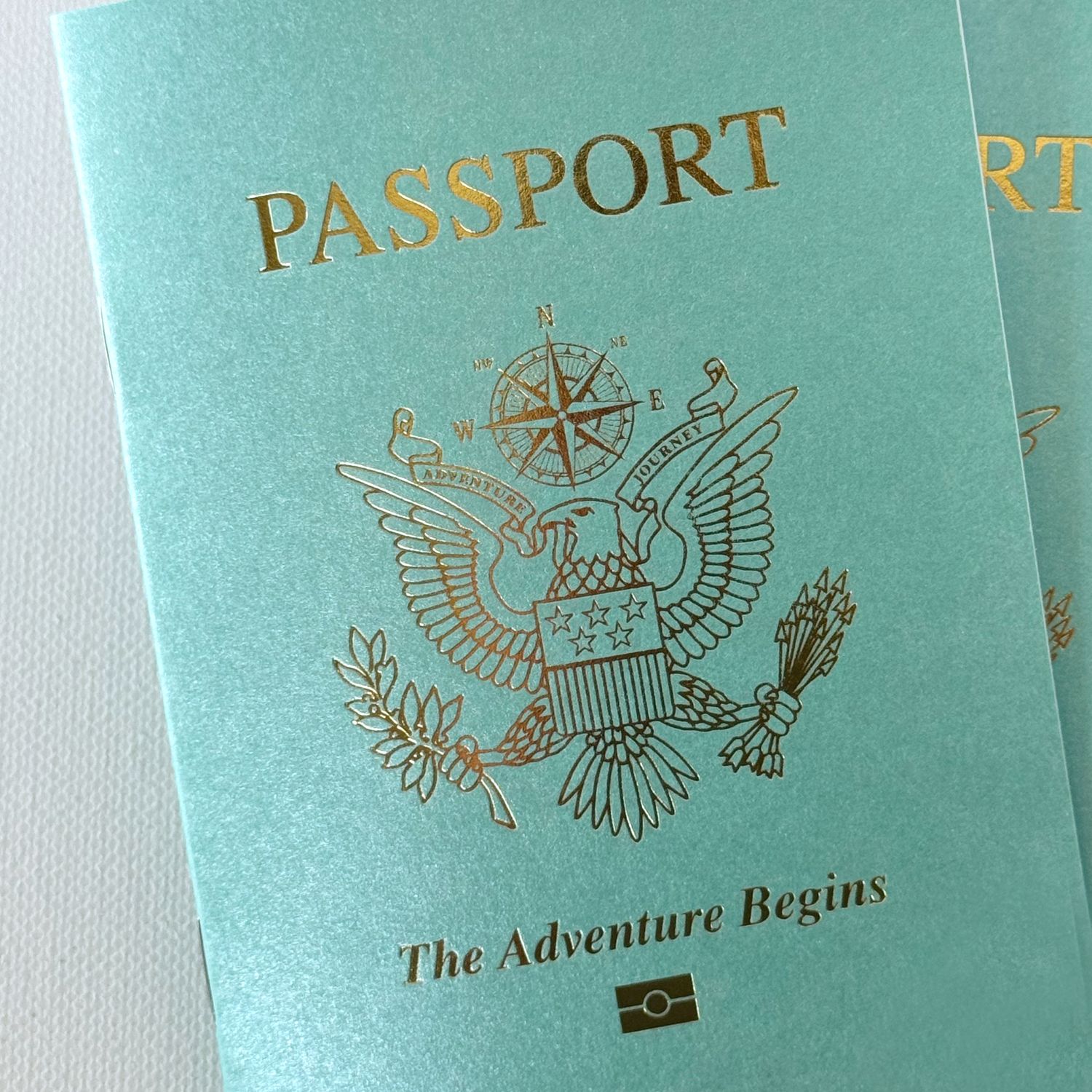 OCEAN / LIGHT TURQUOISE Shimmer Passport Books (Pack of 10)