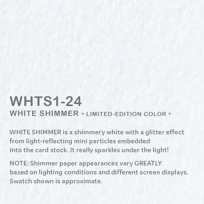 WHITE Shimmer Passport Books (Pack of 10)