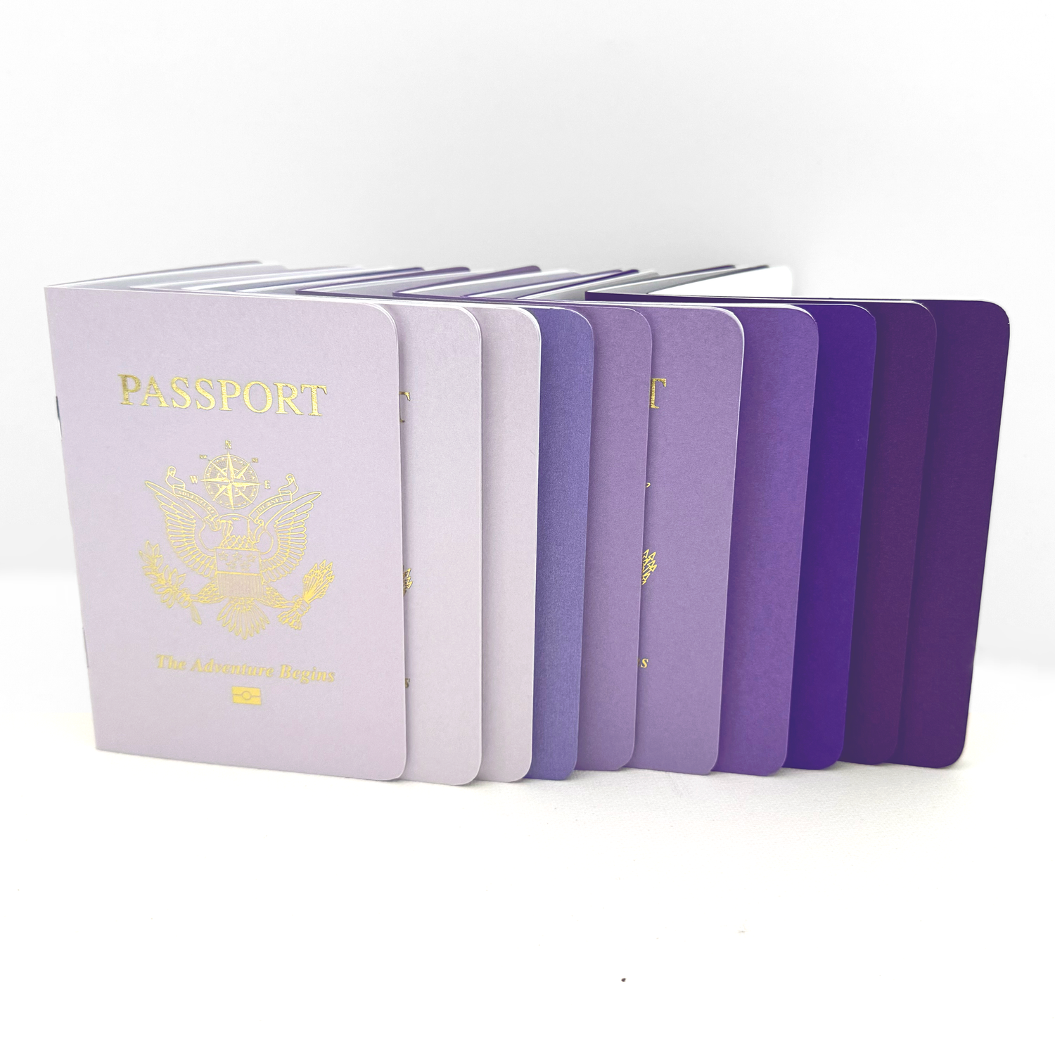 Combo Pack – PURPLE VARIETY Passport Books (Pack of 10)