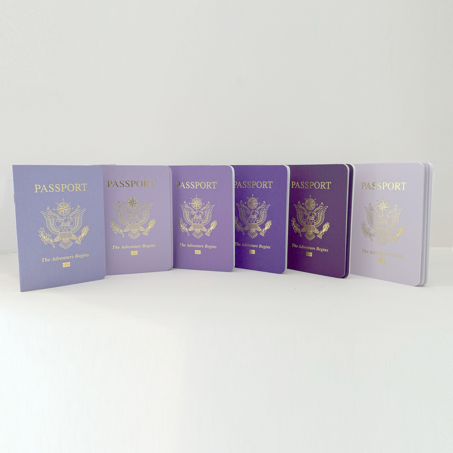Combo Pack – PURPLE VARIETY Passport Books (Pack of 10)