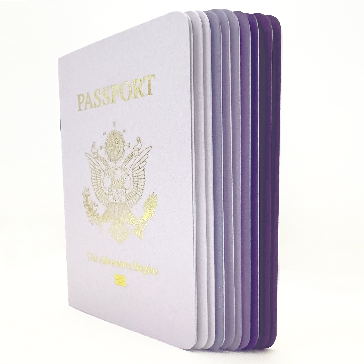 Combo Pack – PURPLE VARIETY Passport Books (Pack of 10)