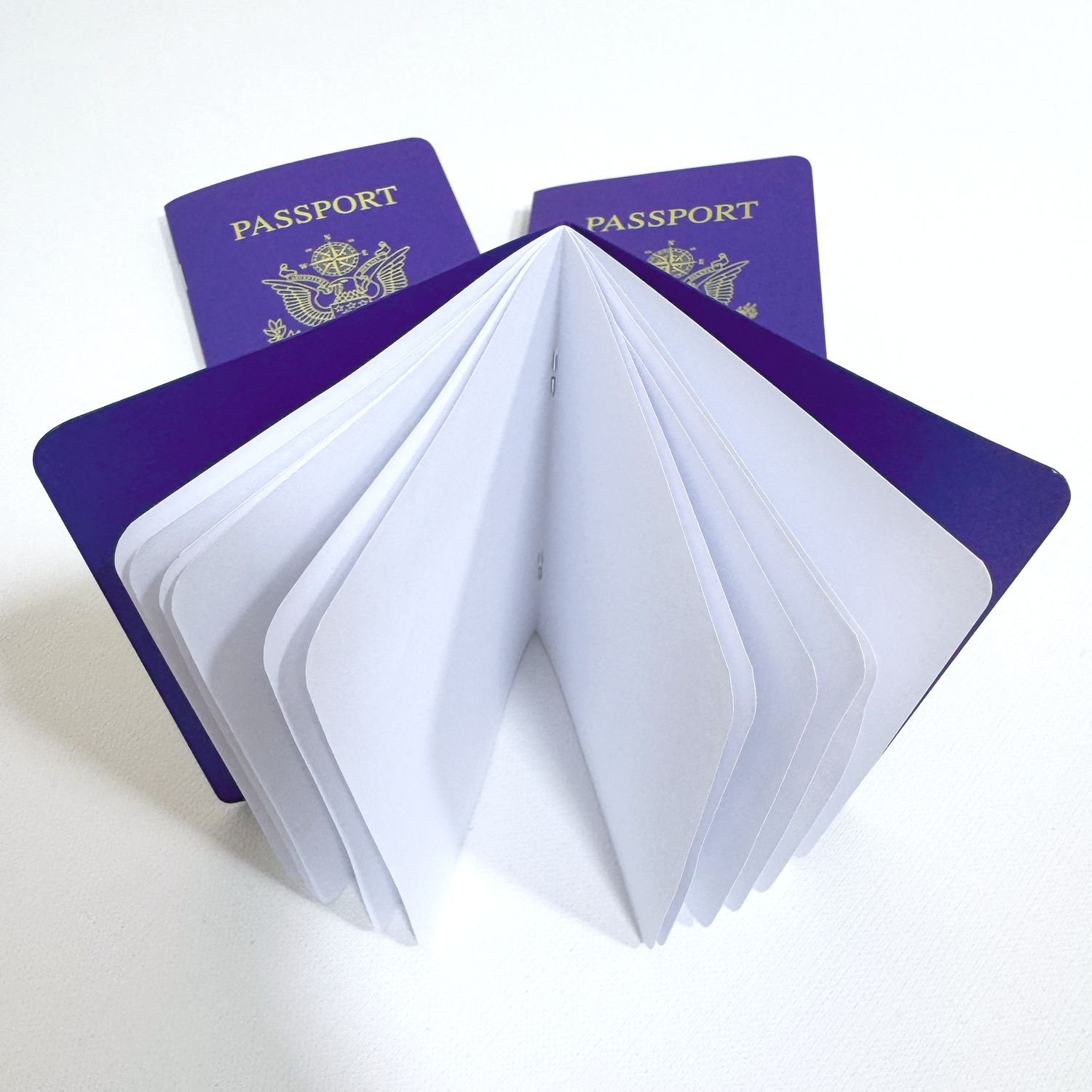 Combo Pack – PURPLE VARIETY Passport Books (Pack of 10)