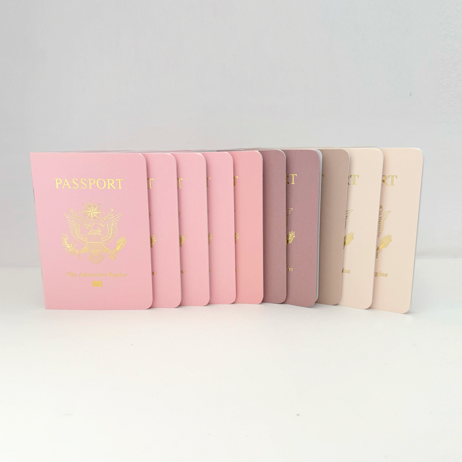 Combo Pack – PINKS Passport Books (Pack of 10) Combo Pack – PINKS Passport Books (Pack of 10)