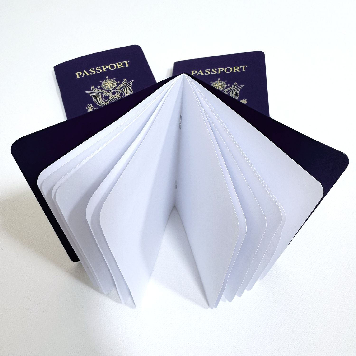 Combo Pack – BLACK + GRAY Passport Books (Pack of 10)