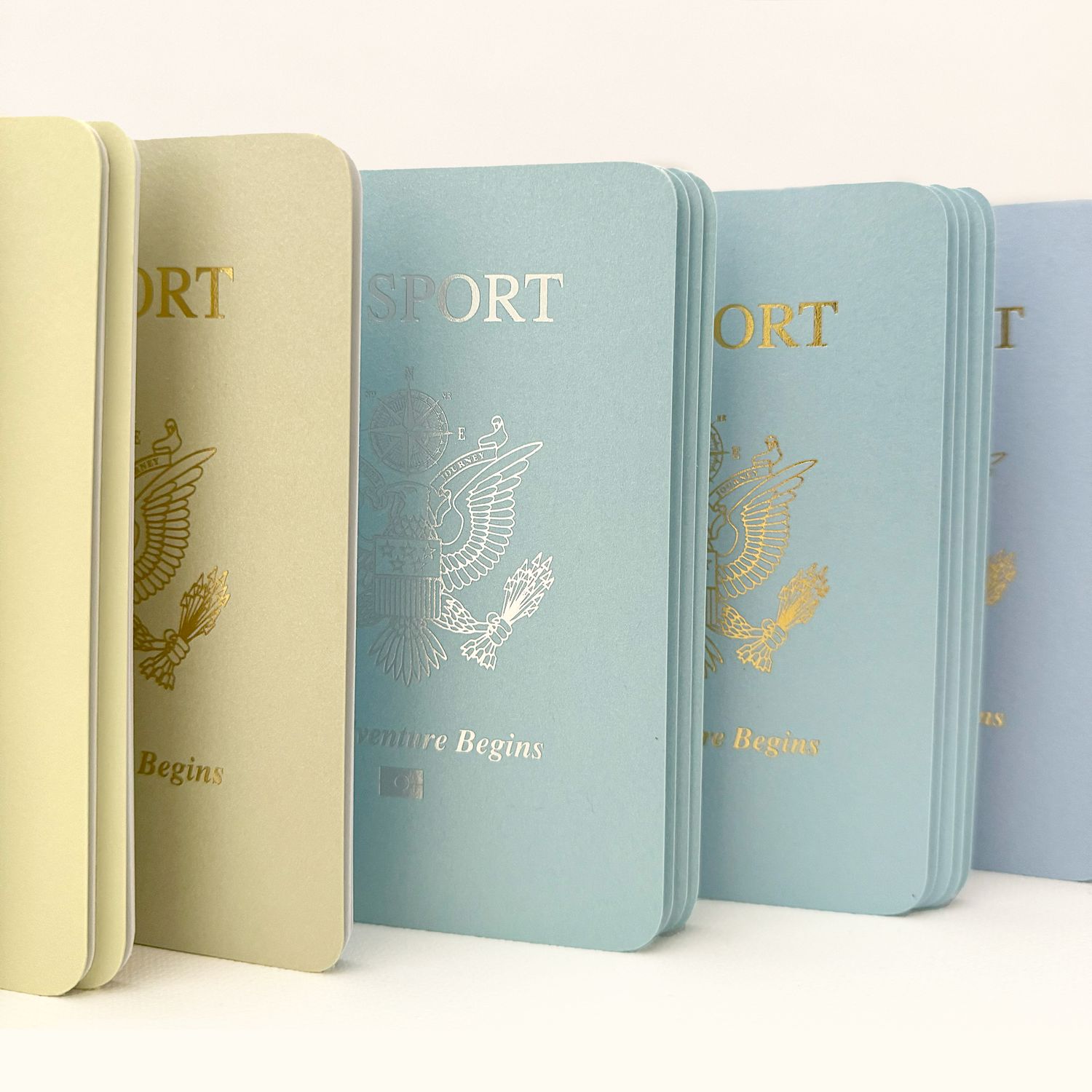 Combo Pack – BLUE GREEN Passport Books (Pack of 50)
