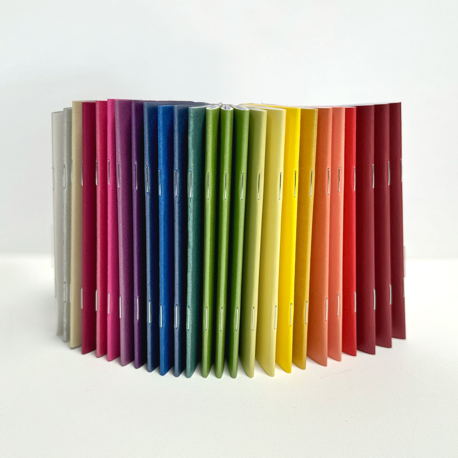 Combo Pack – RAINBOW Collection Passport Books (Pack of 25) Combo Pack – RAINBOW Collection Passport Books (Pack of 25)