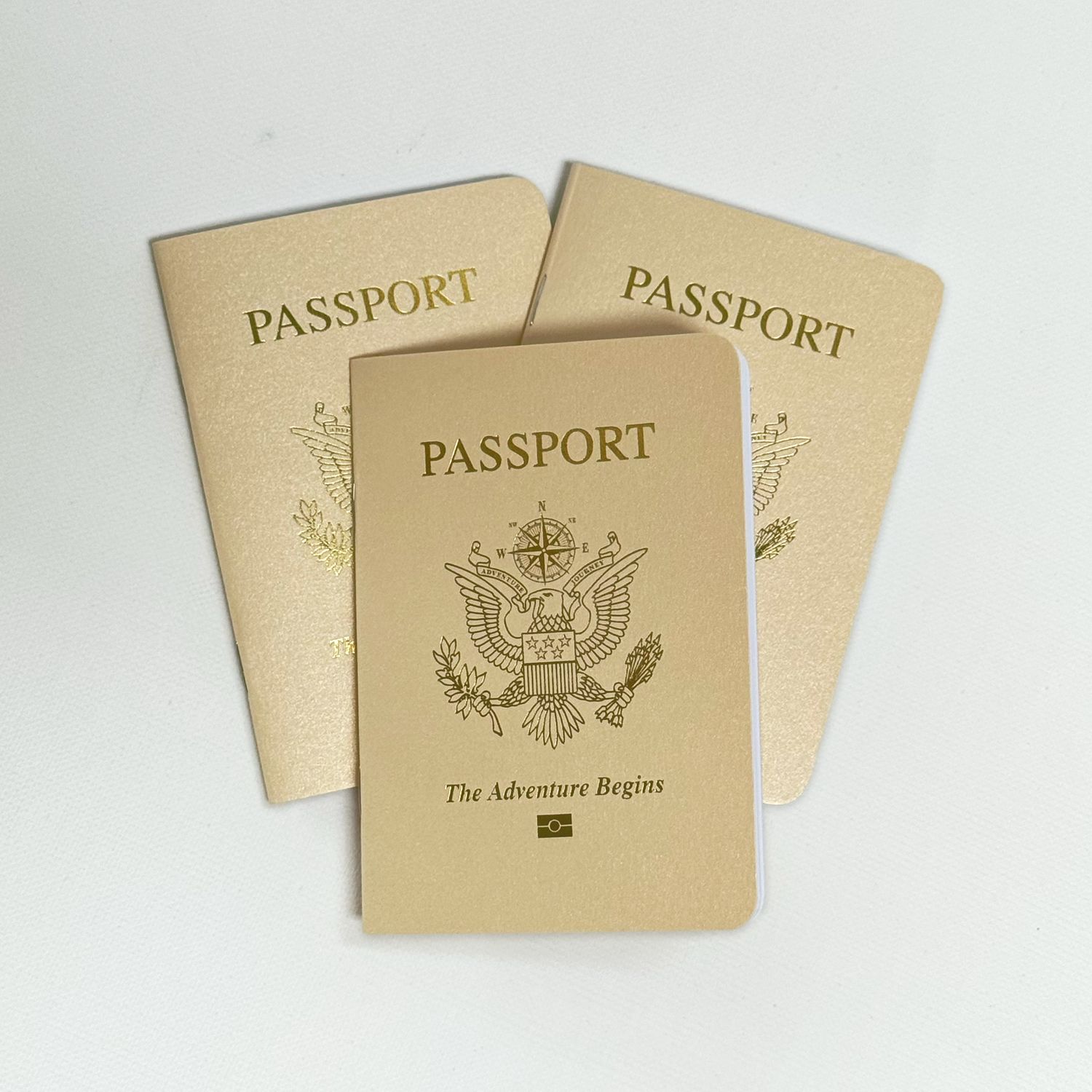Ivory Shimmer Passport Books (Pack of 10)