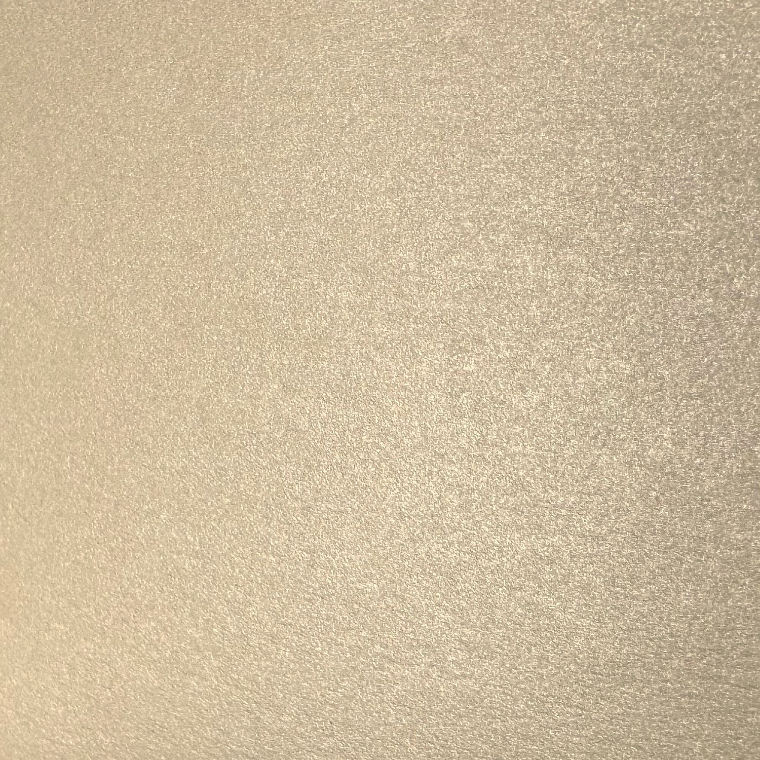 Ivory Shimmer Passport Books (Pack of 10)