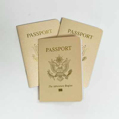 Ivory Shimmer Passport Books (Pack of 10)