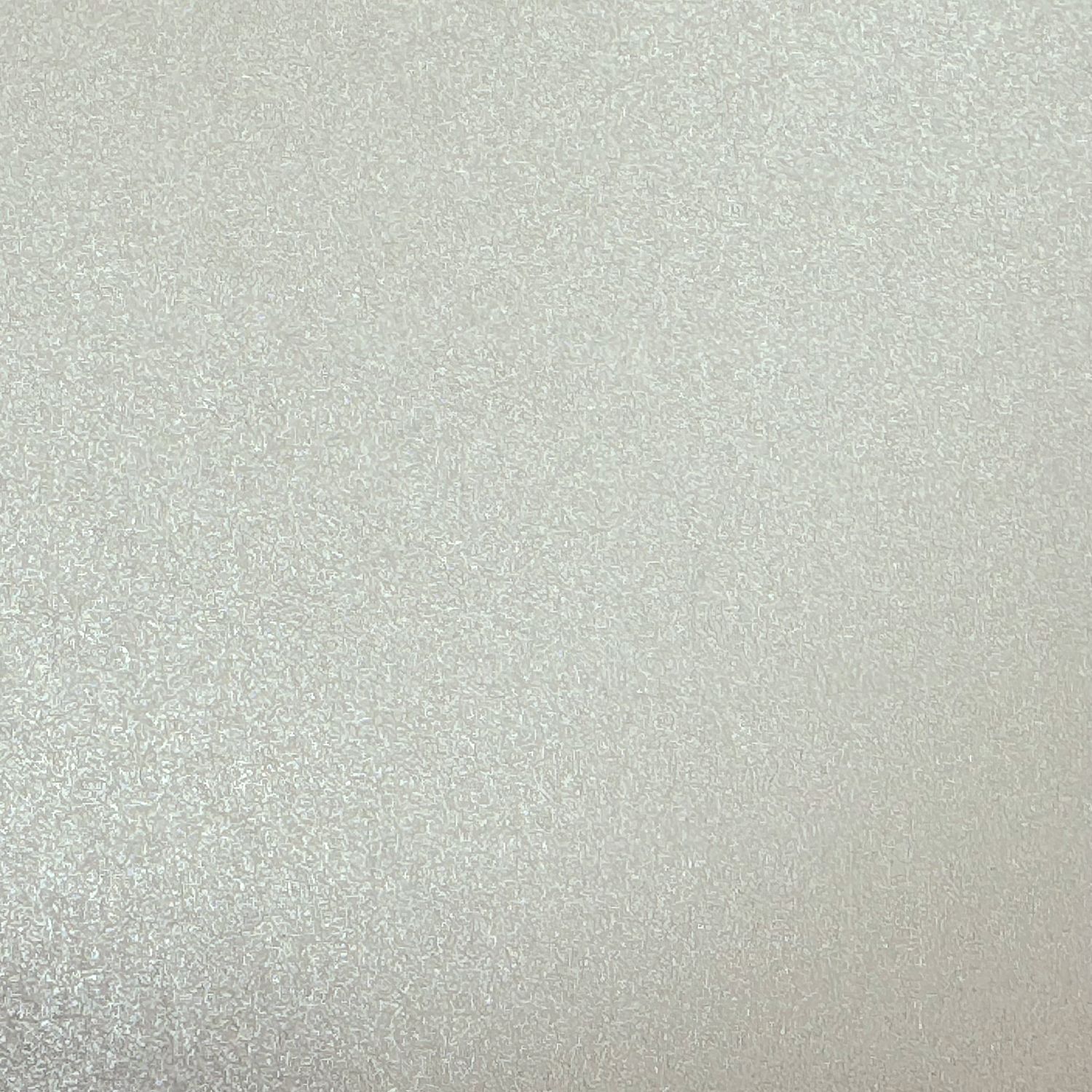 CREAM Shimmer Passport Books (Pack of 10)