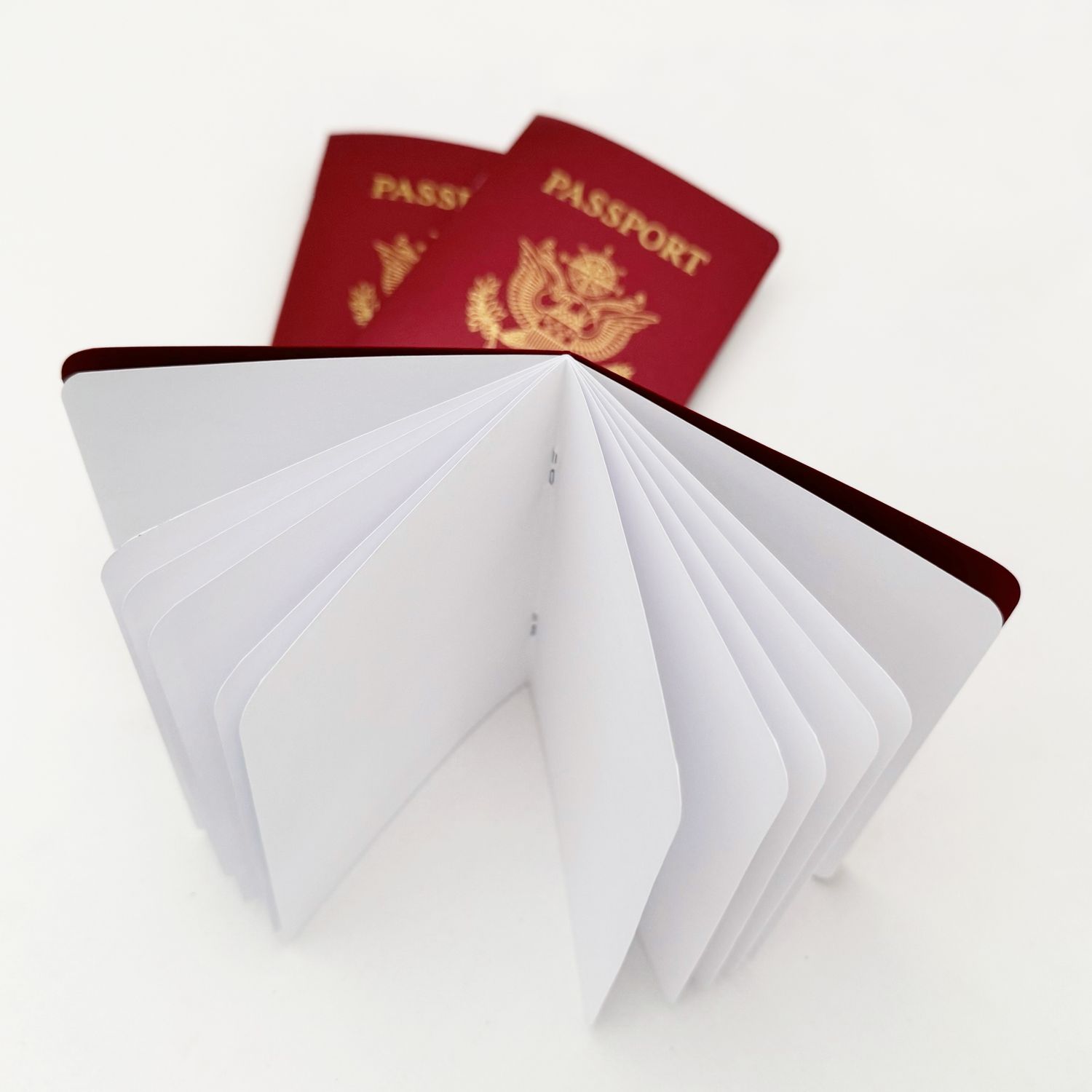 RICH RED Shimmer Passport Books (Pack of 10) RICH RED Shimmer Passport Books (Pack of 10)