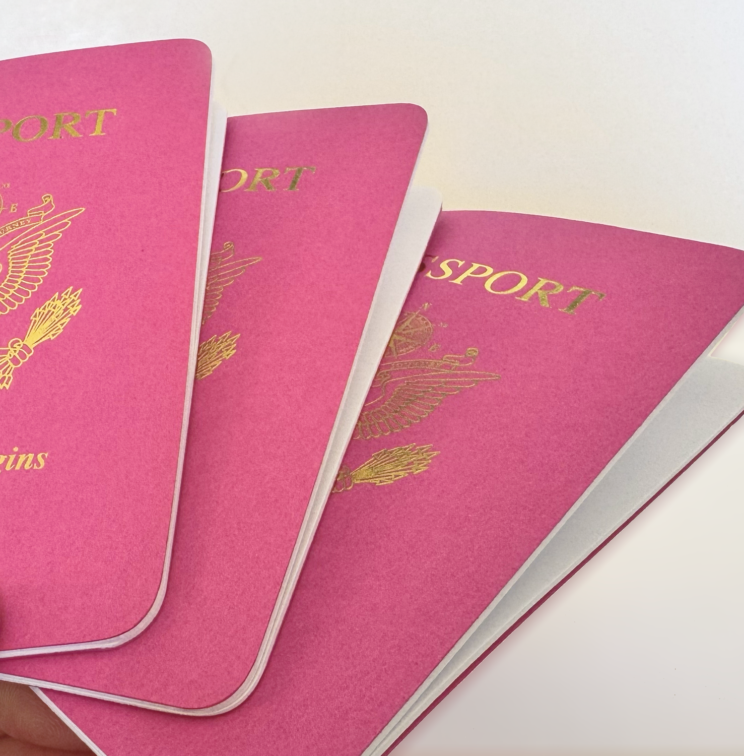 RICH POP PINK Matte Passport Books (Pack of 10) RICH POP PINK Matte Passport Books (Pack of 10)