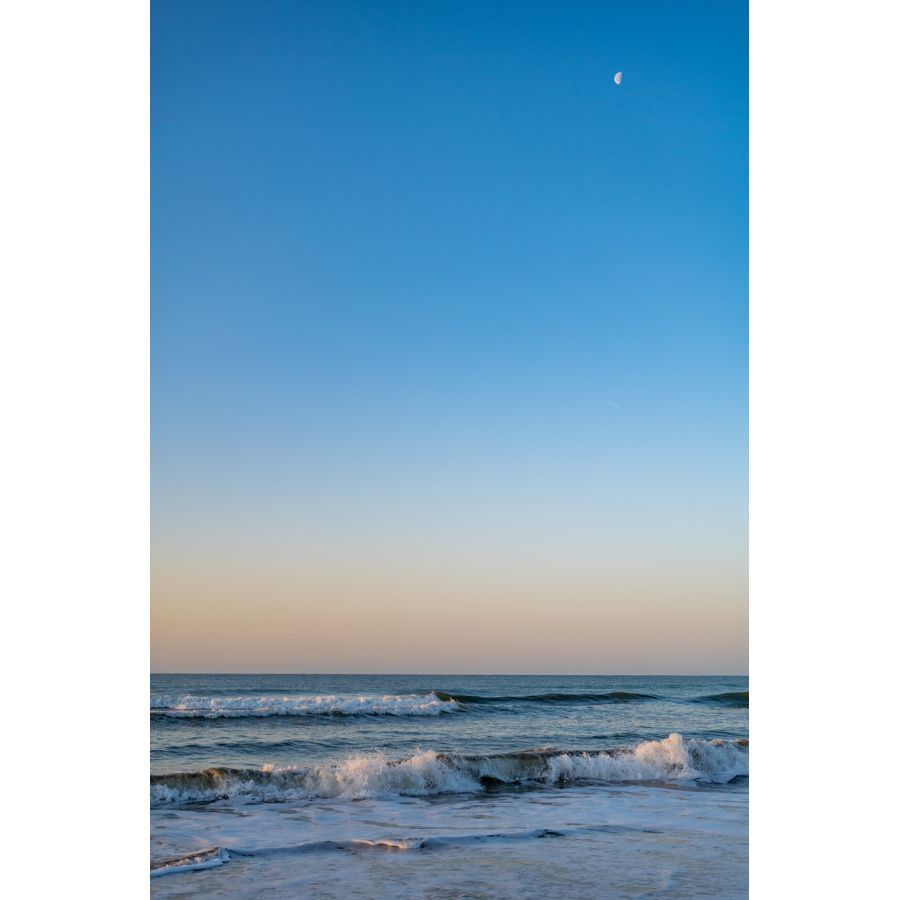 charleston moon