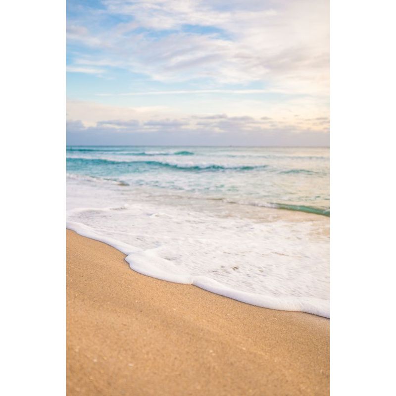 hollywood beach