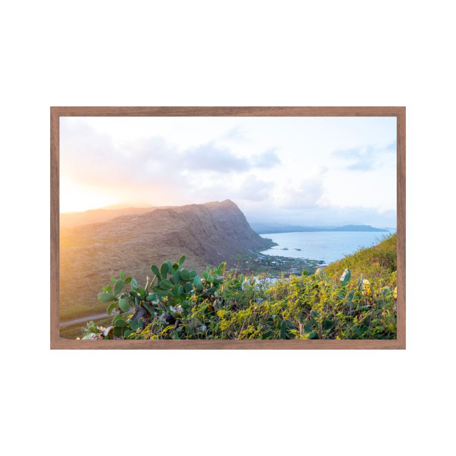 oahu overlook