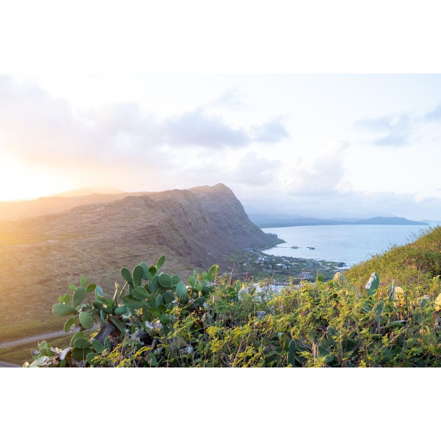 oahu overlook
