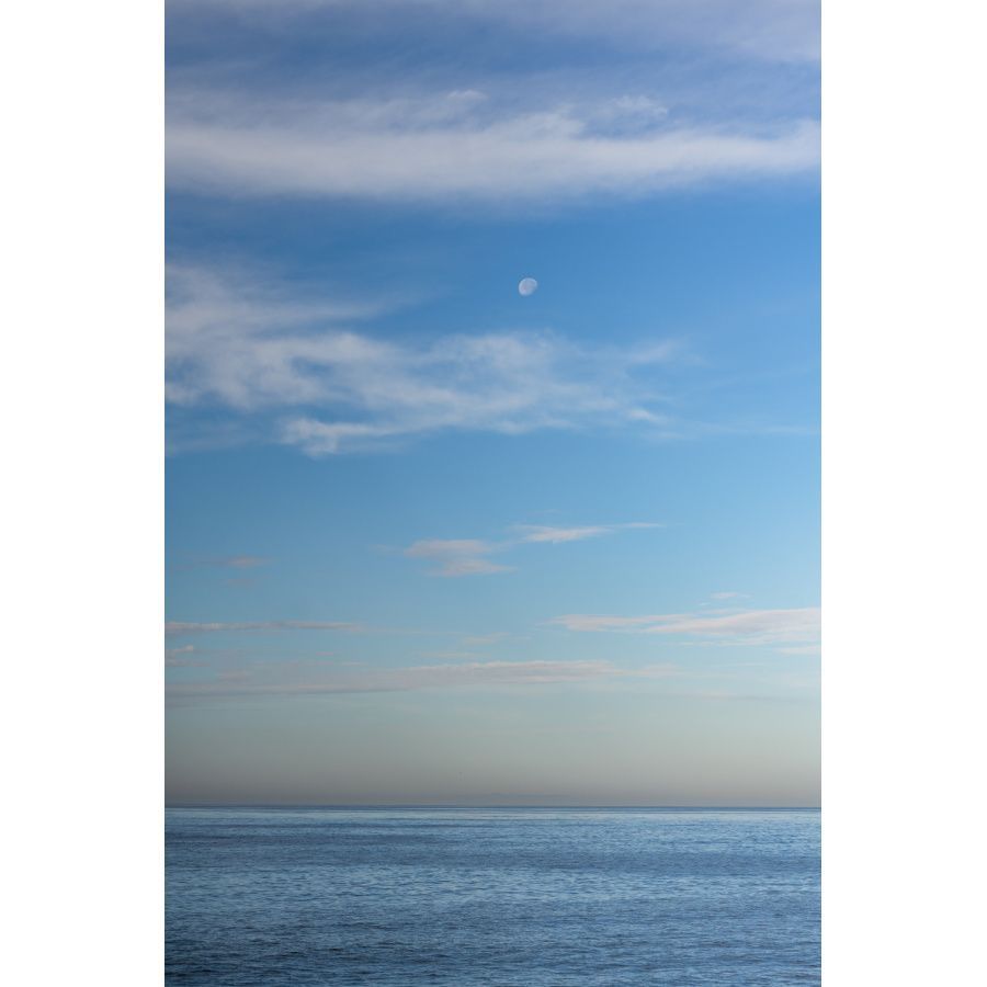 san diego moon