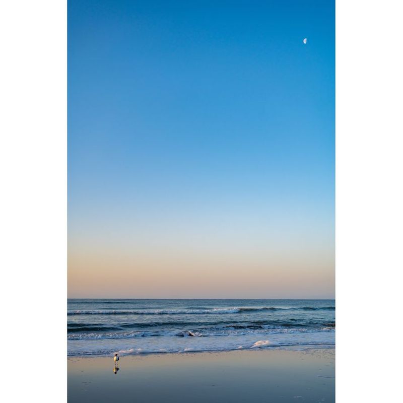 sunrise at isle of palms