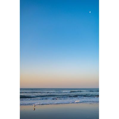 sunrise at isle of palms