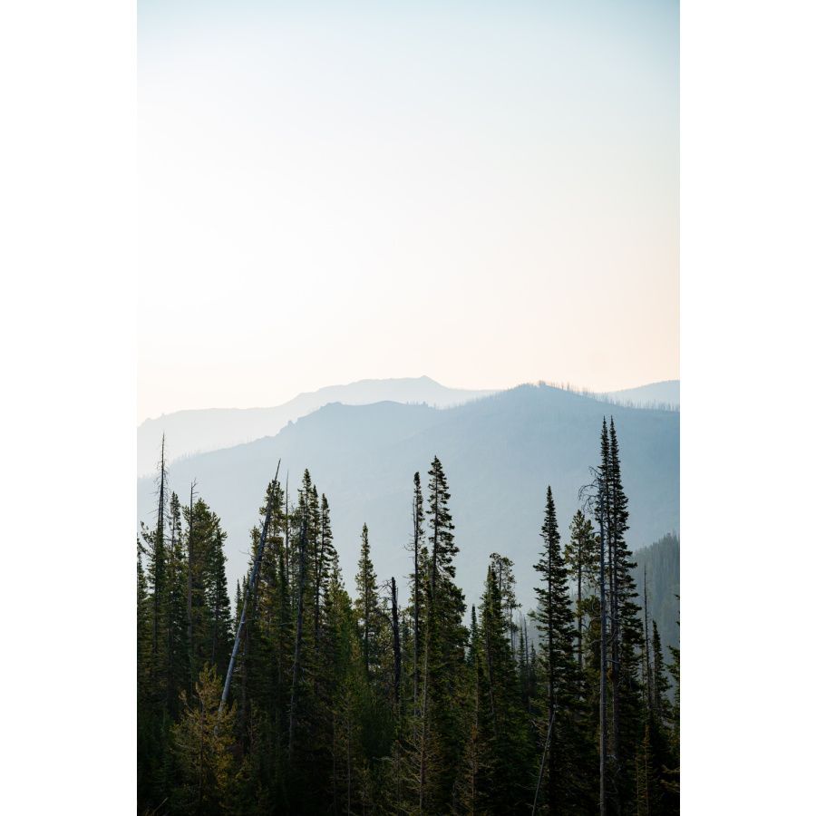yellowstone sunrise