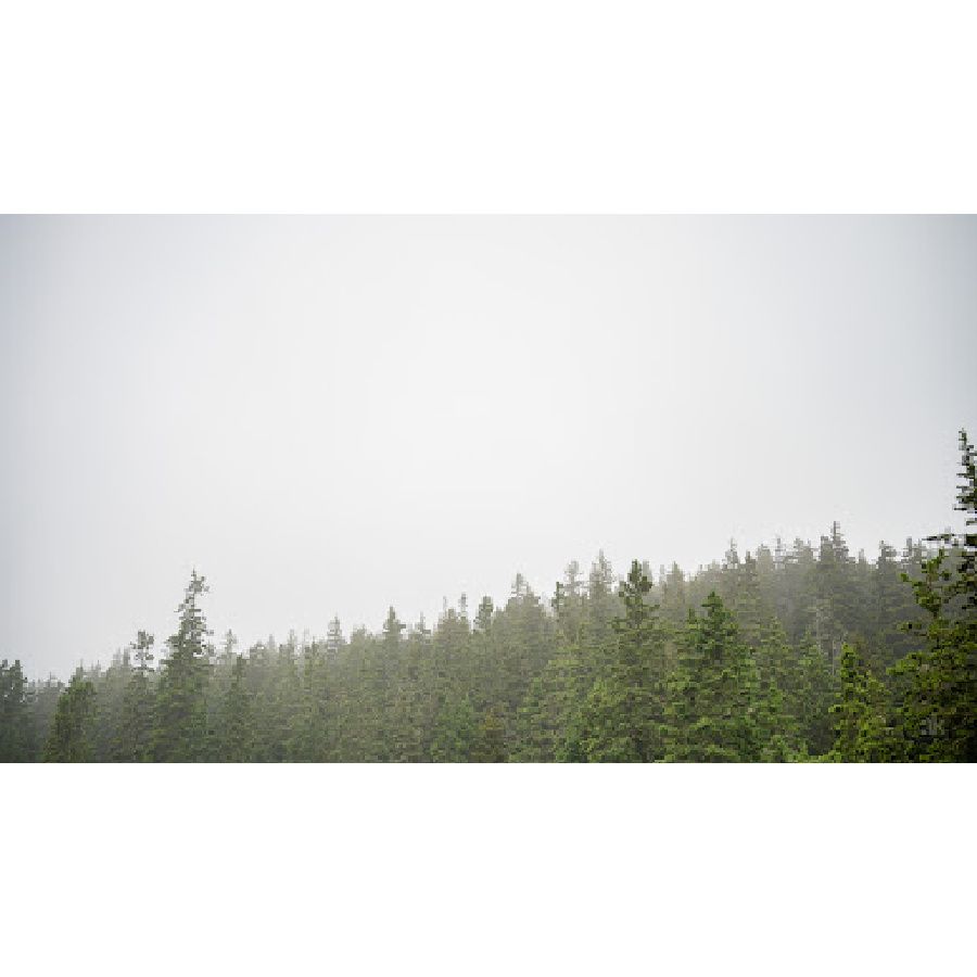 frame tv artwork bundle *acadia edition*