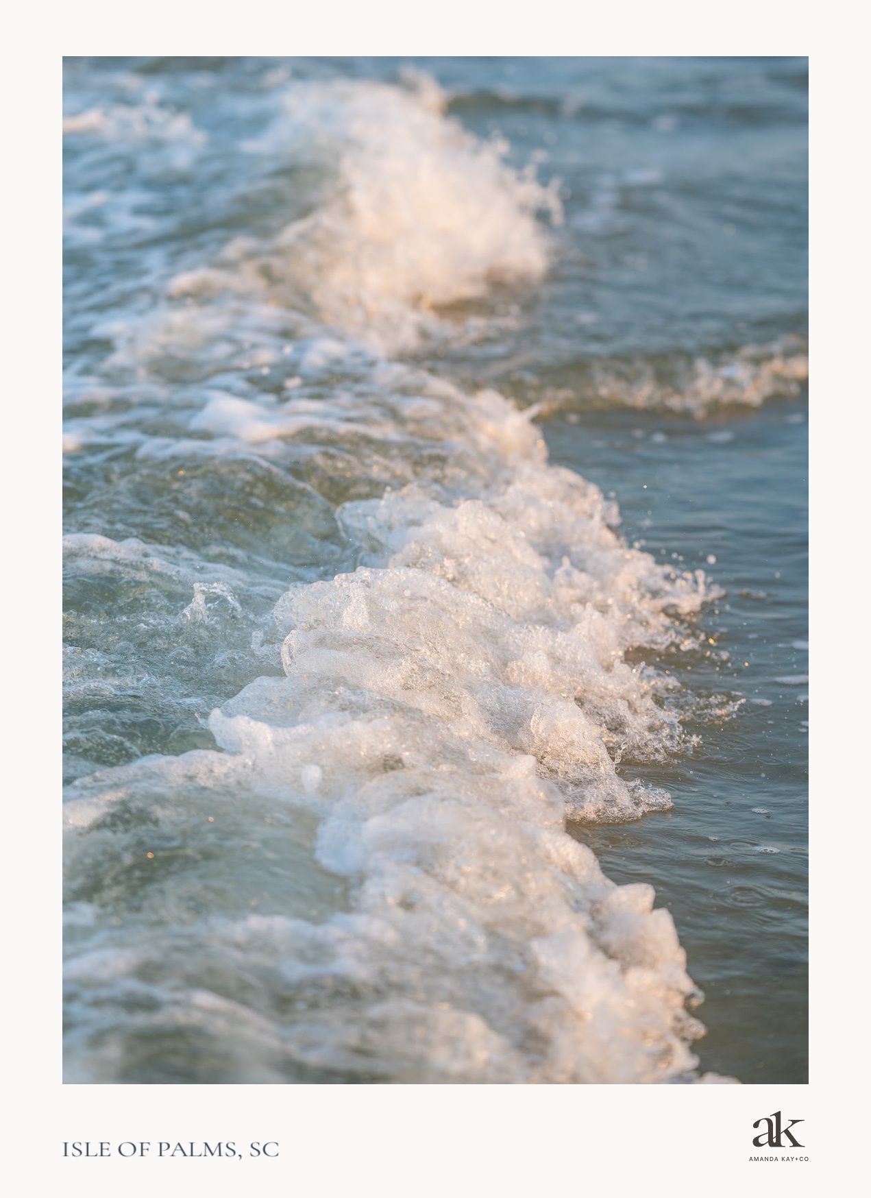 postcard series: ISLE OF PALMS