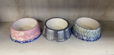 CC Pet Bowl #