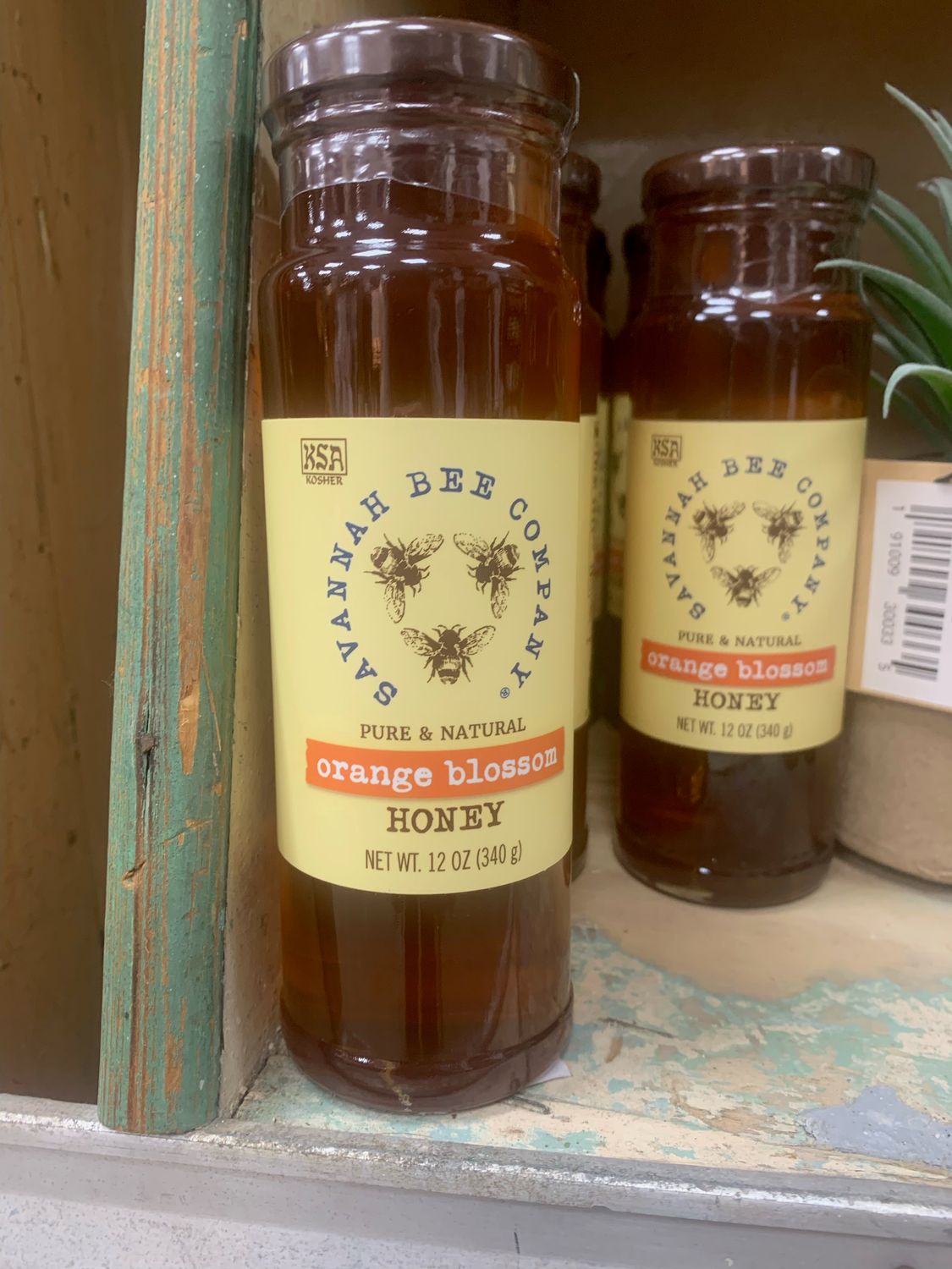 SBC HTOP Orange Blossom