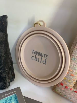 SBD Lg Collapsible Bowl - FavChild