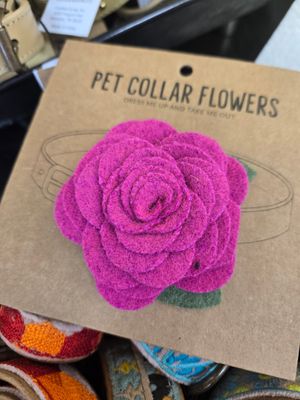 SBD Pet Collar Flower-Magenta