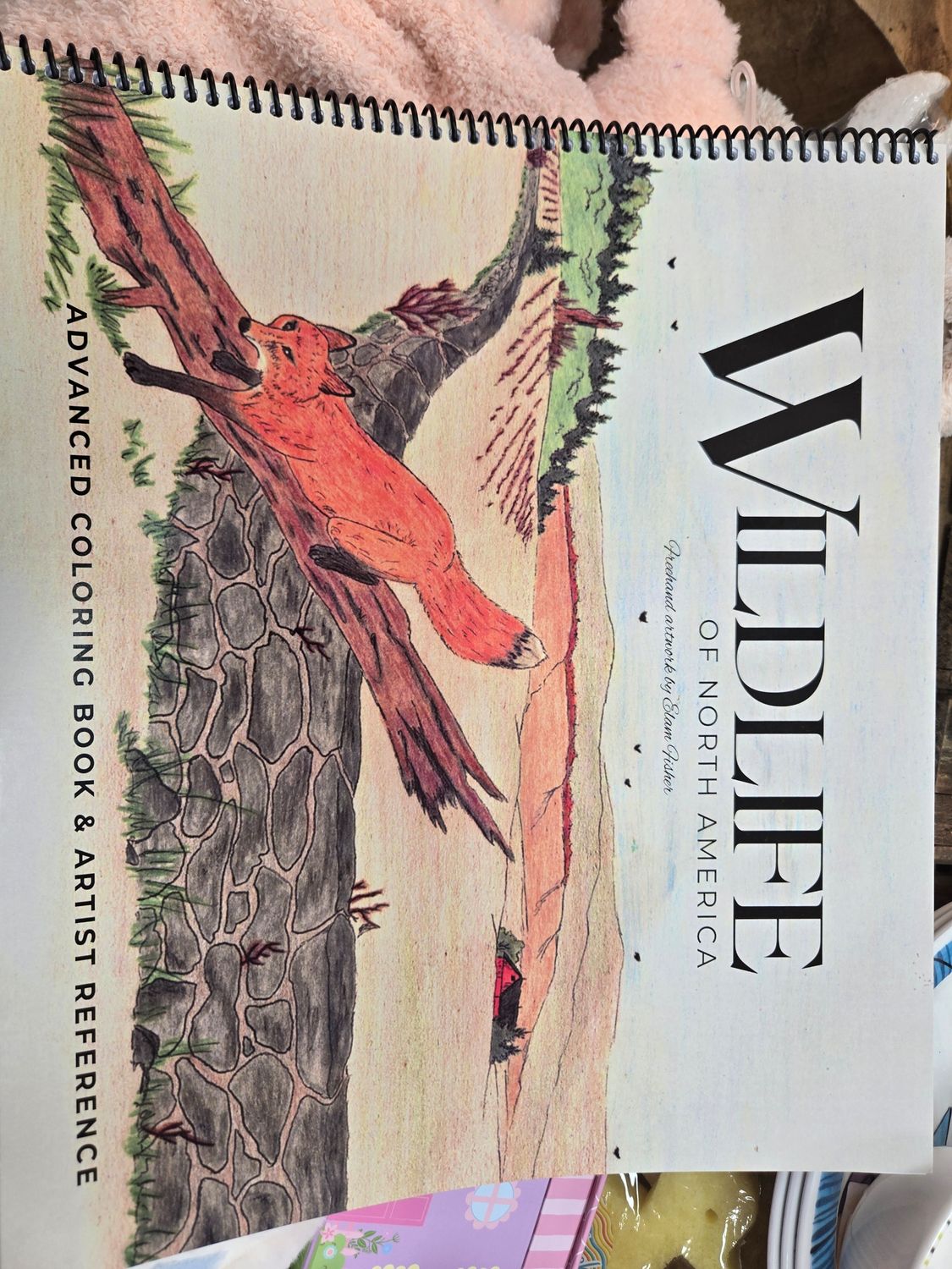 Wildlife Of North America Coloring Book #