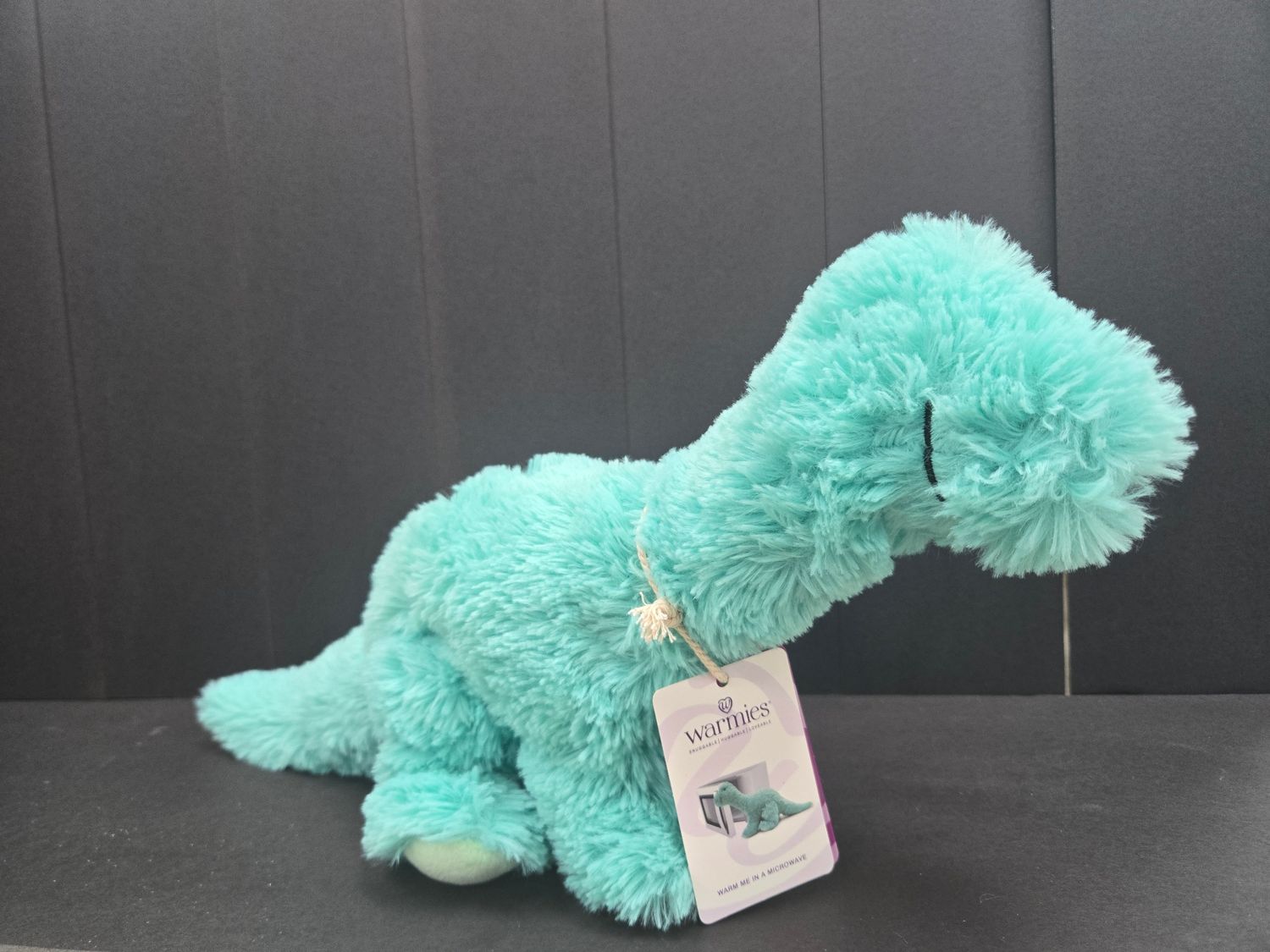 Warmies, Design: Teal Dino