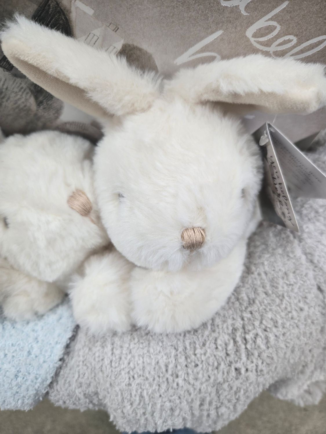 CO You Belong Here Bunny Plush