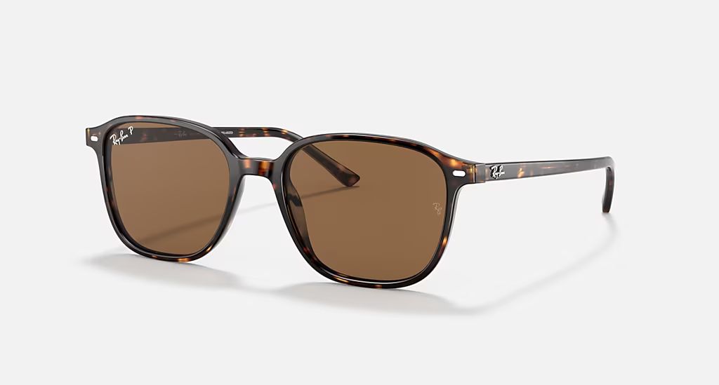 Leonard Tortoise B-15 Brown