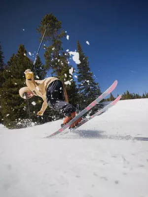 blend skis 2025