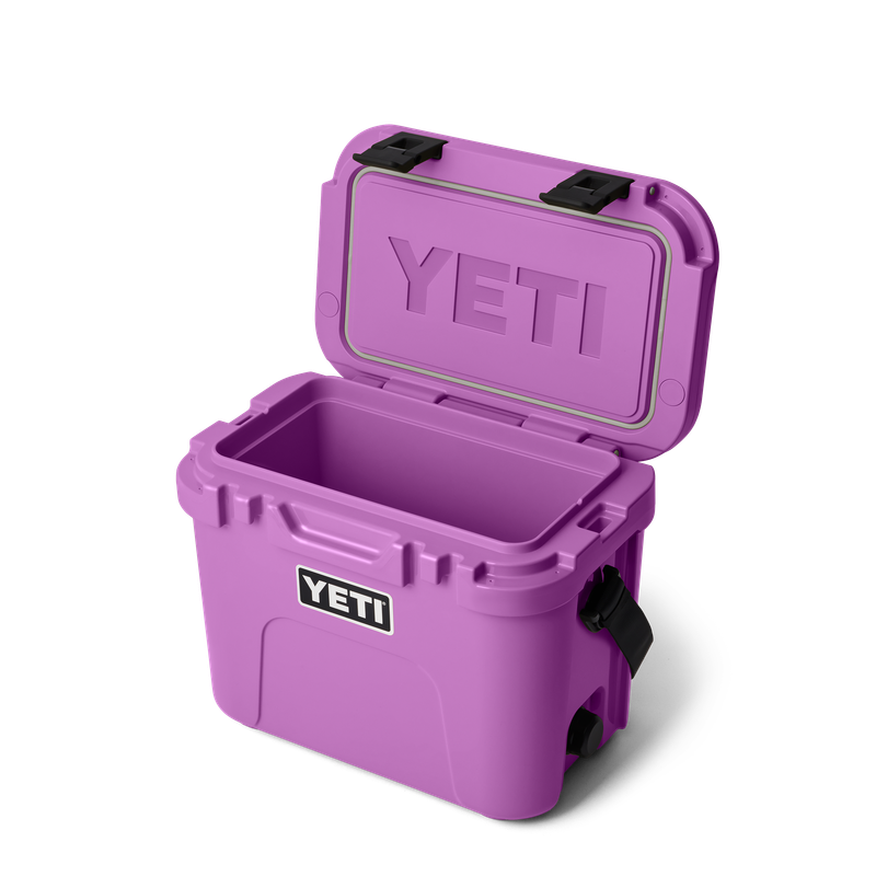 Yeti Roadie 15