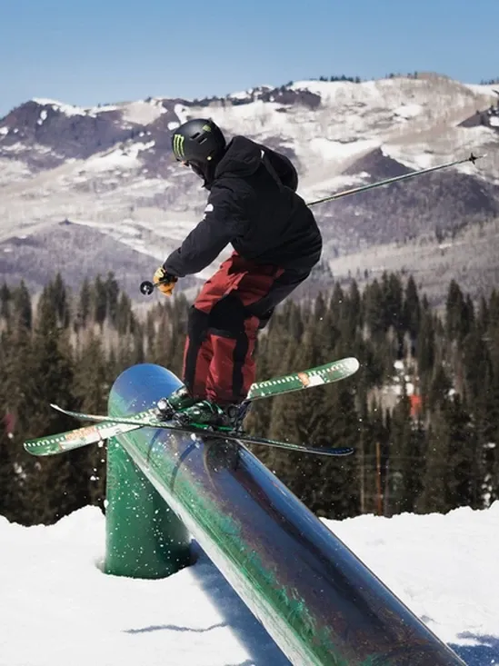 Park ski poles