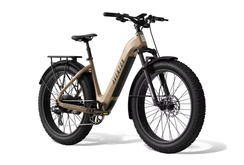 Aventon Aventure 3 Step Thru Regular Java
