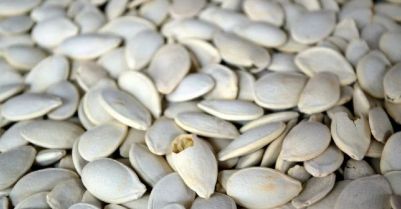 SEMILLA DE CALABAZA A GRANEL, BOLSA CON 500GR