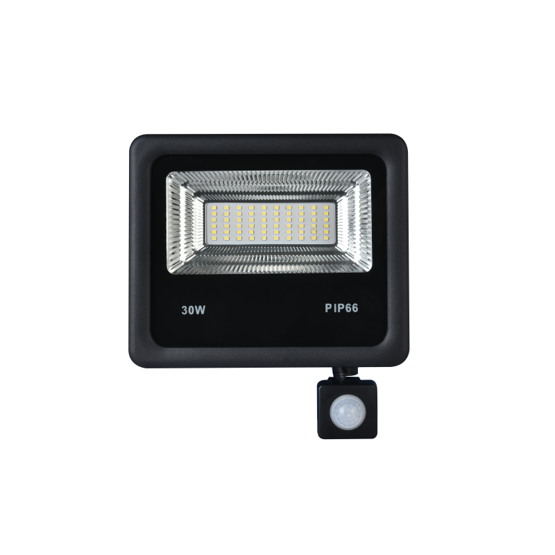 Auriga 30W Slim Outdoor LED Floodlight Auriga 30W Slim Outdoor LED Floodlight