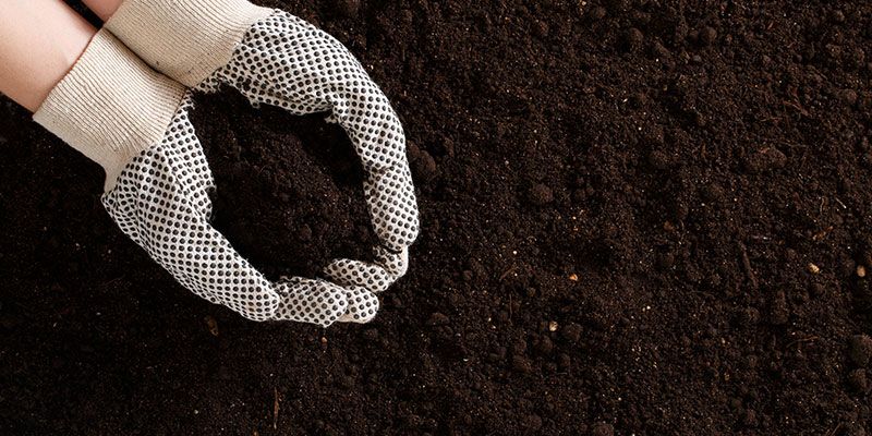 4-Way Soil