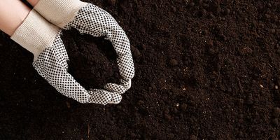4-Way Soil