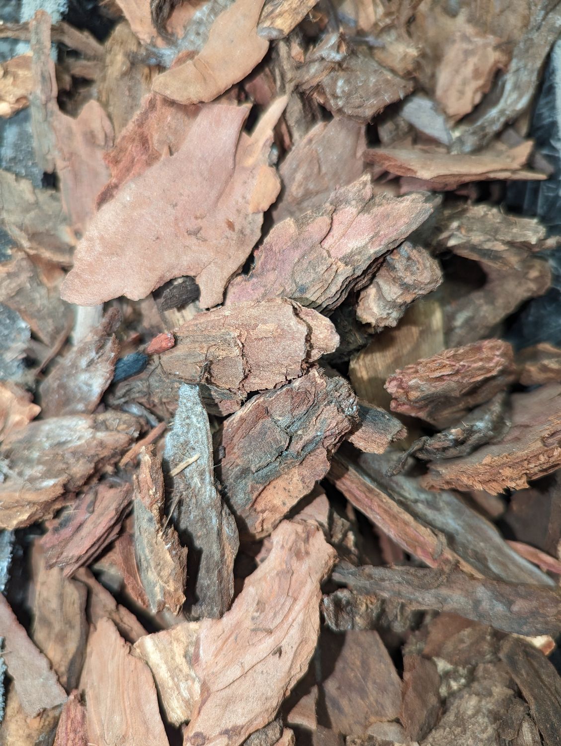 Bag of Cedar Bark