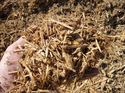 Mulch