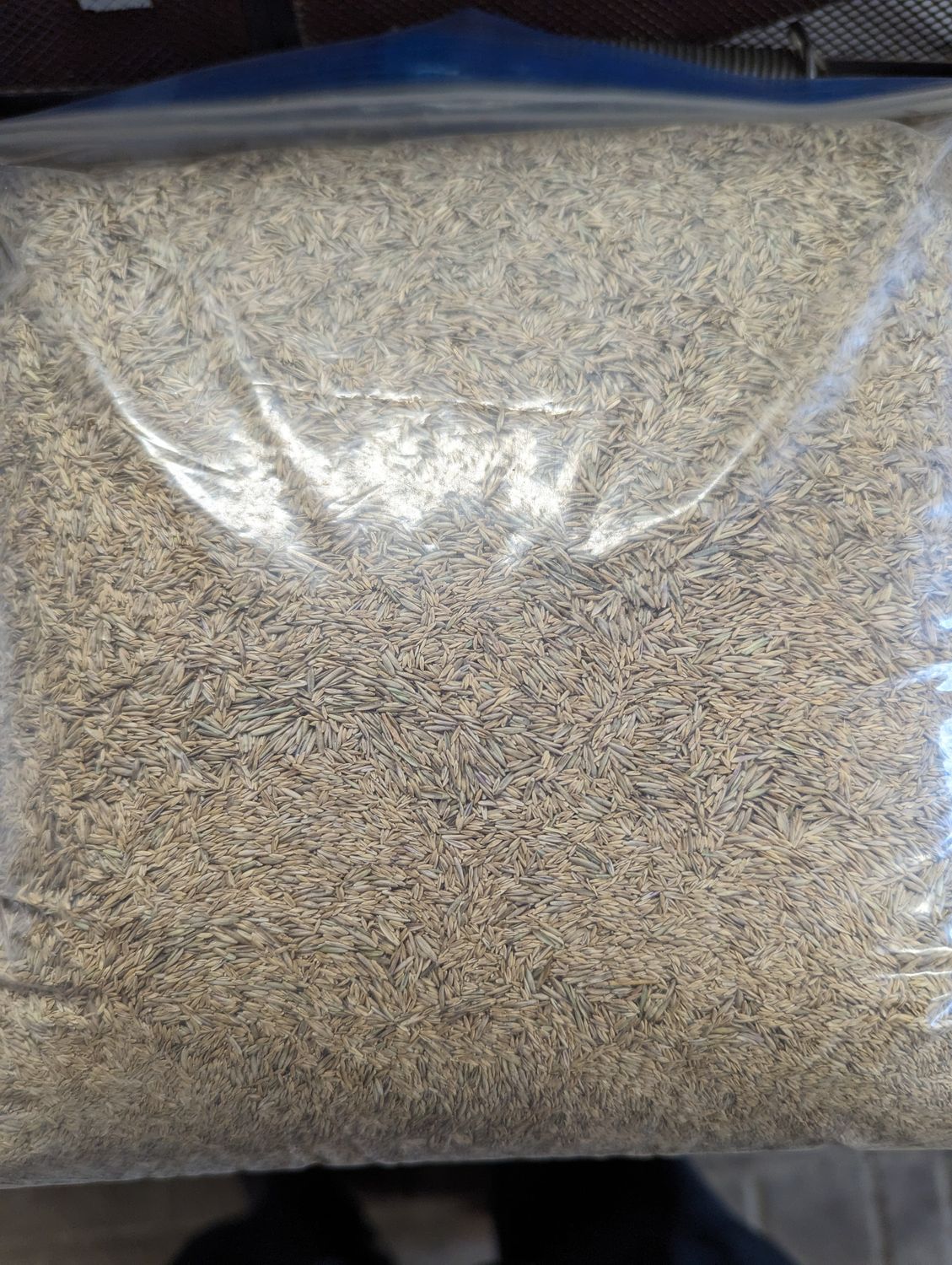 Sun &amp; Shade Grass Seed Mix